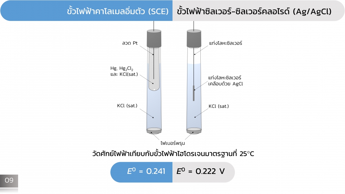 CellEC-10