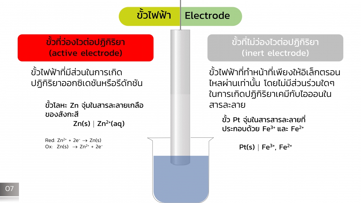 CellEC-8