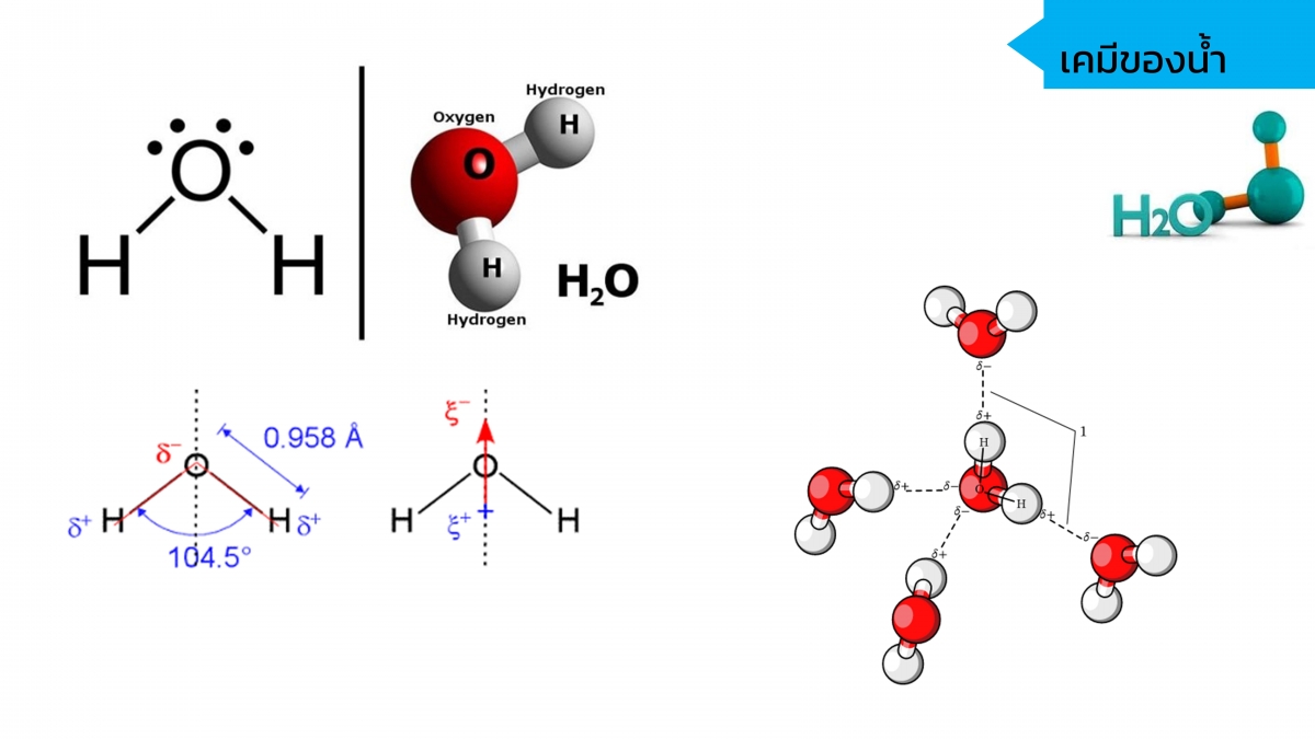 EnvironChem-25