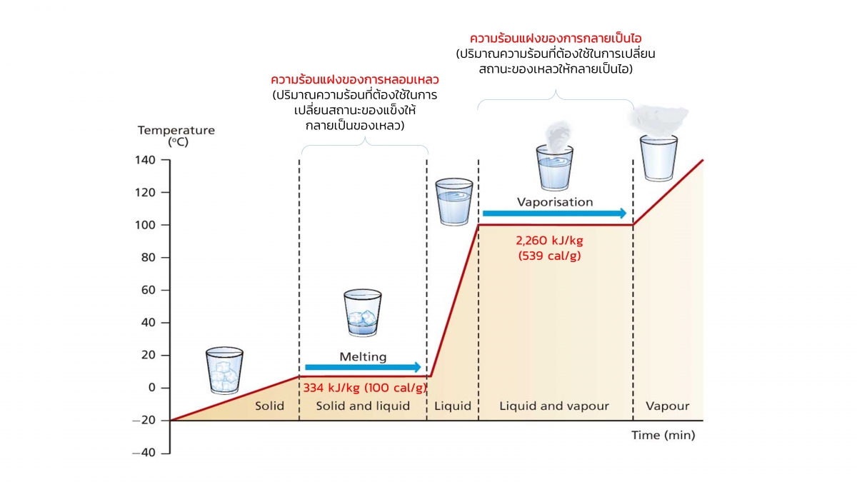 EnvironChem-27