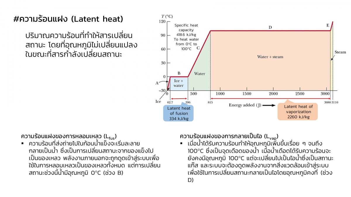 Thermo-18