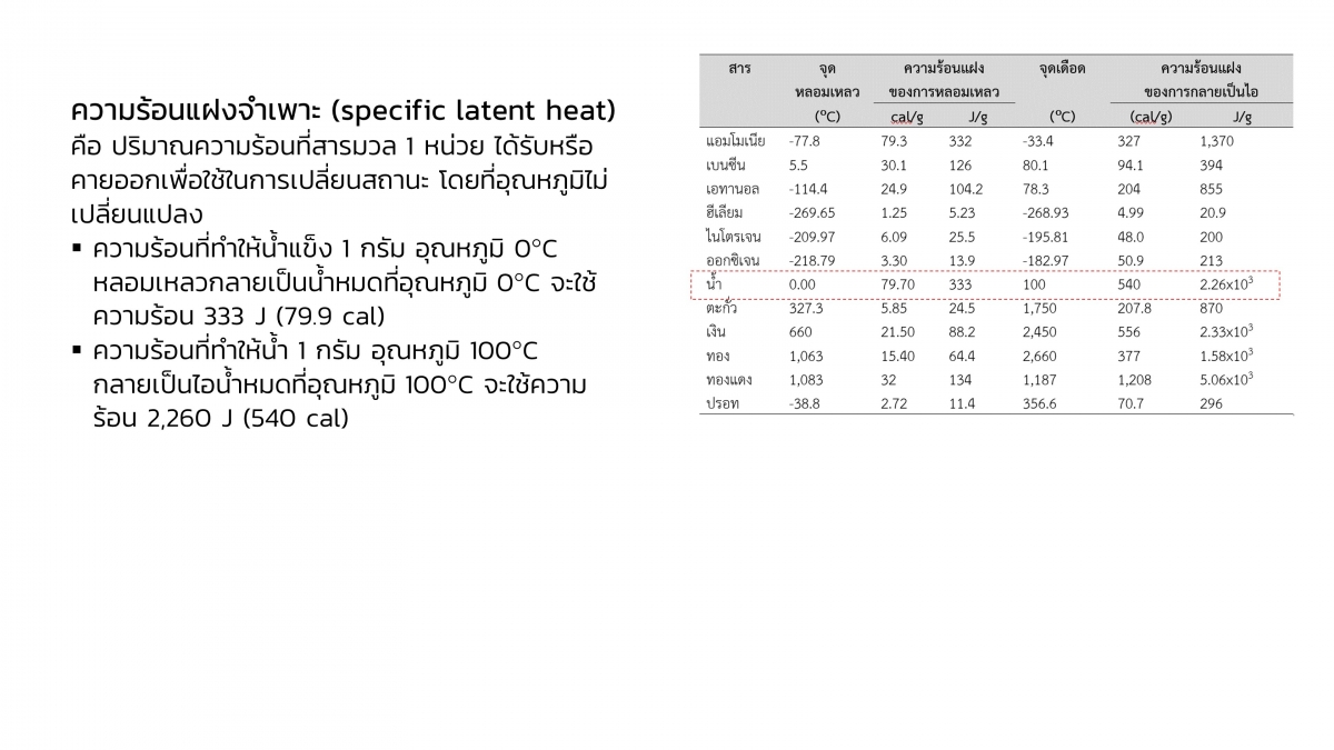 Thermo-19