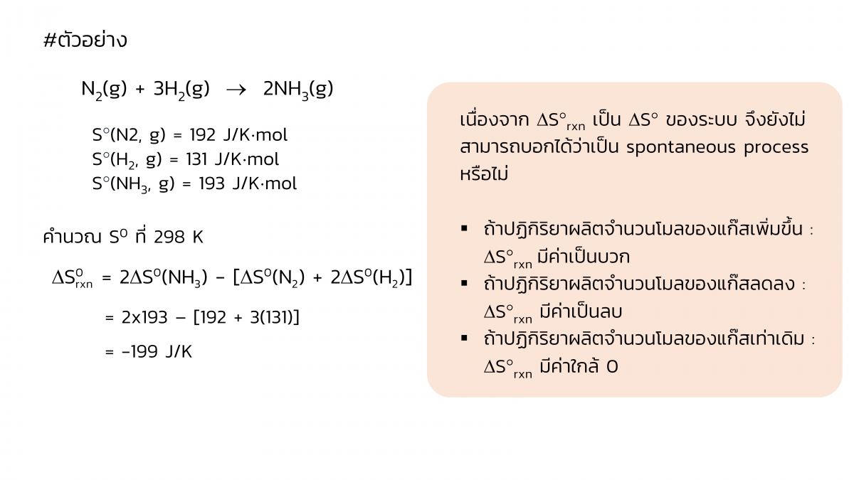 Thermo-19