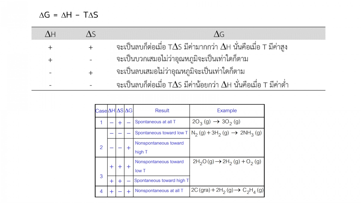 Thermo-25