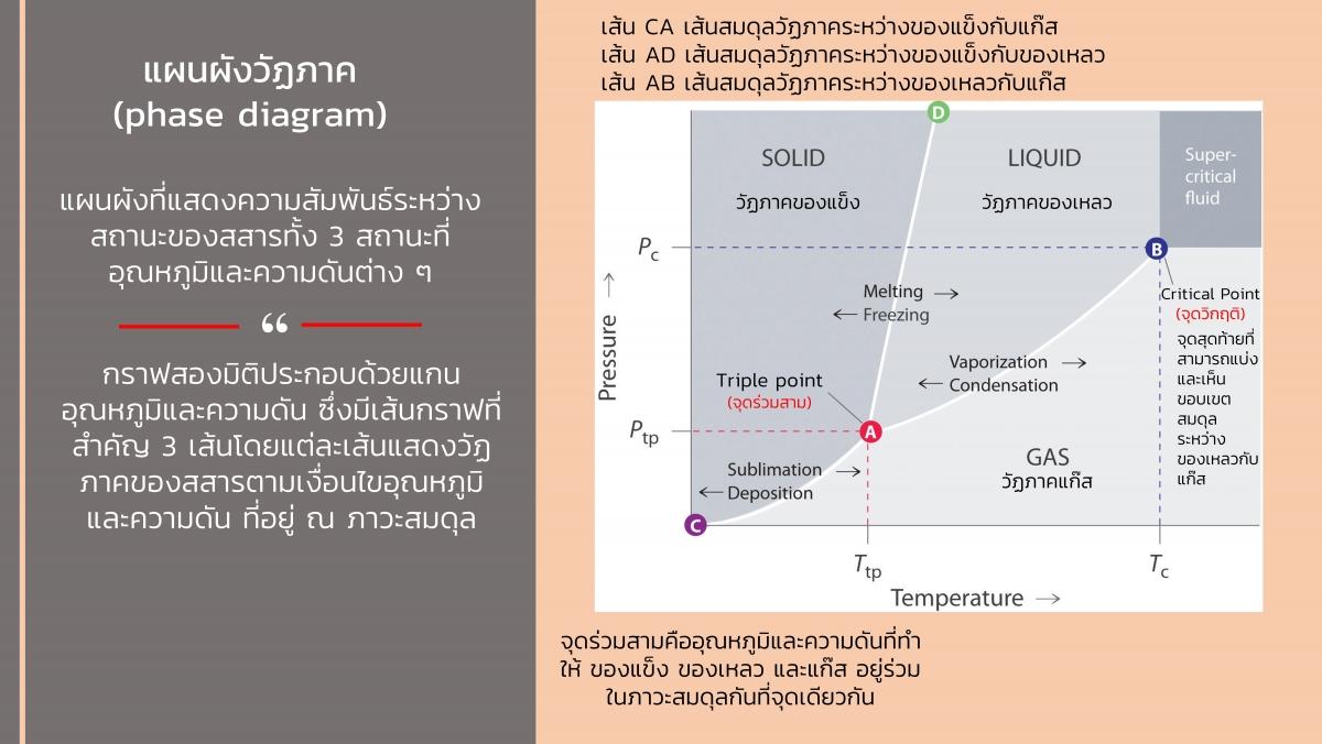 EngChem Liquid (10)