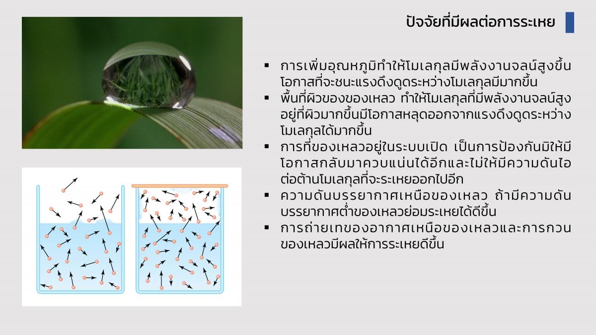 EngChem Liquid (6)