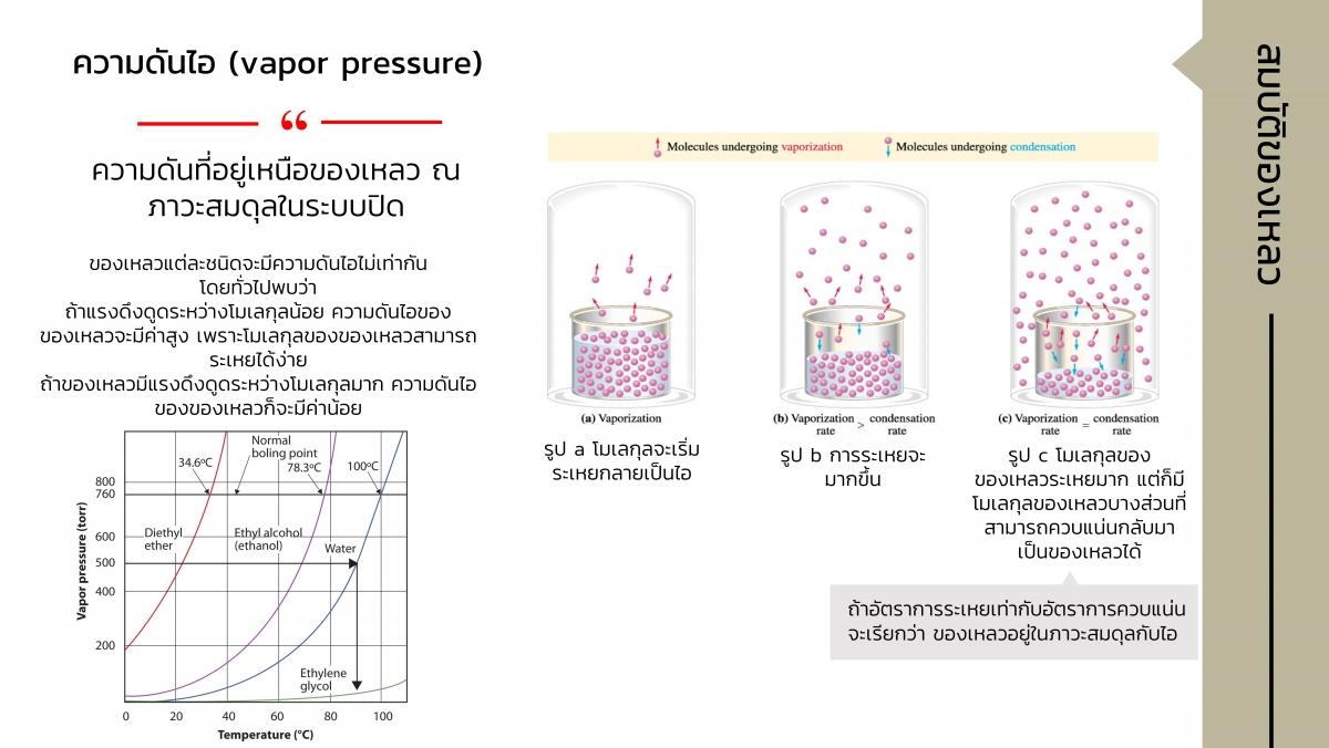 EngChem Liquid (8)