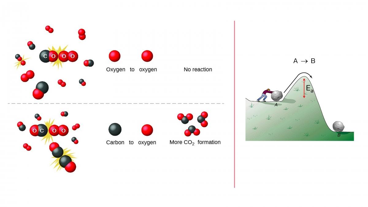 EngChem Kinetics (7)