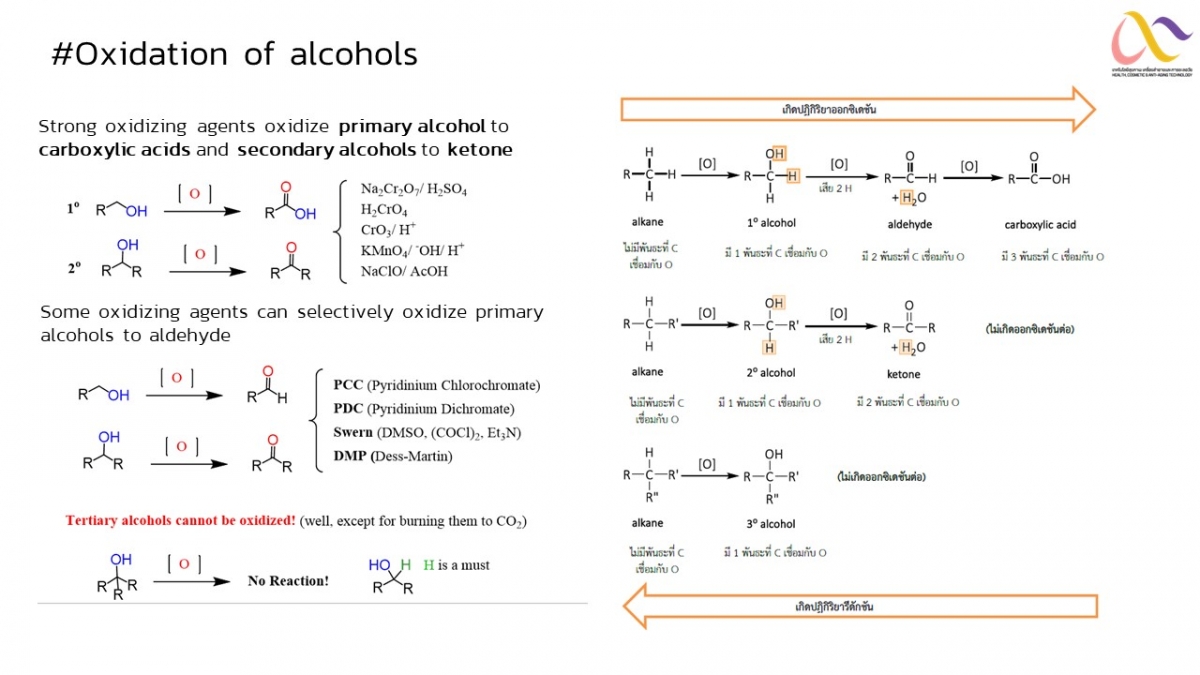 alcohol-26