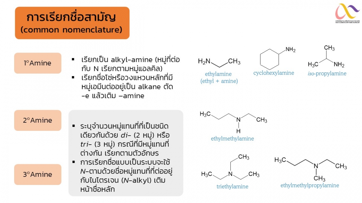 Amine-11