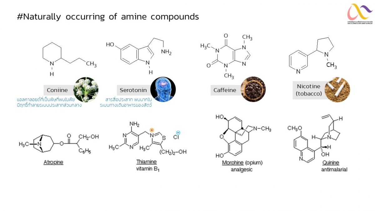 Amine-21