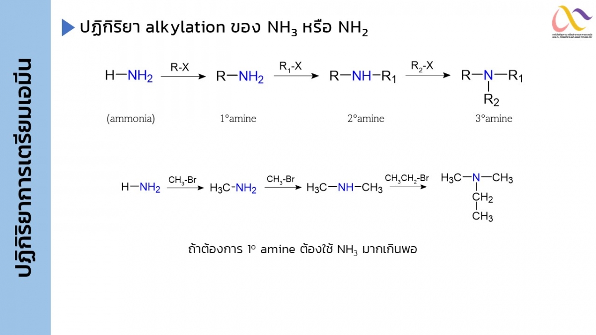 Amine-23