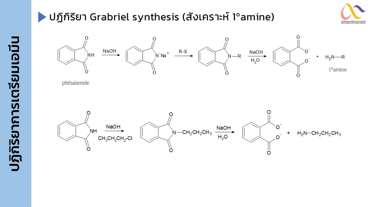 Amine-24