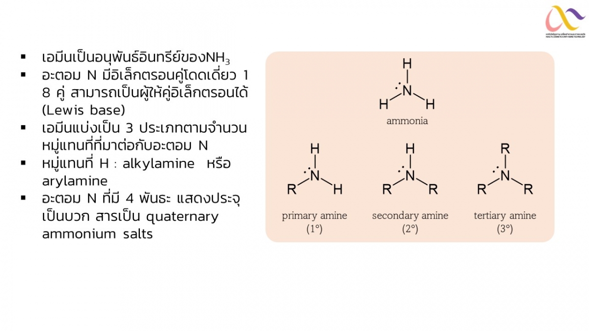 Amine-3