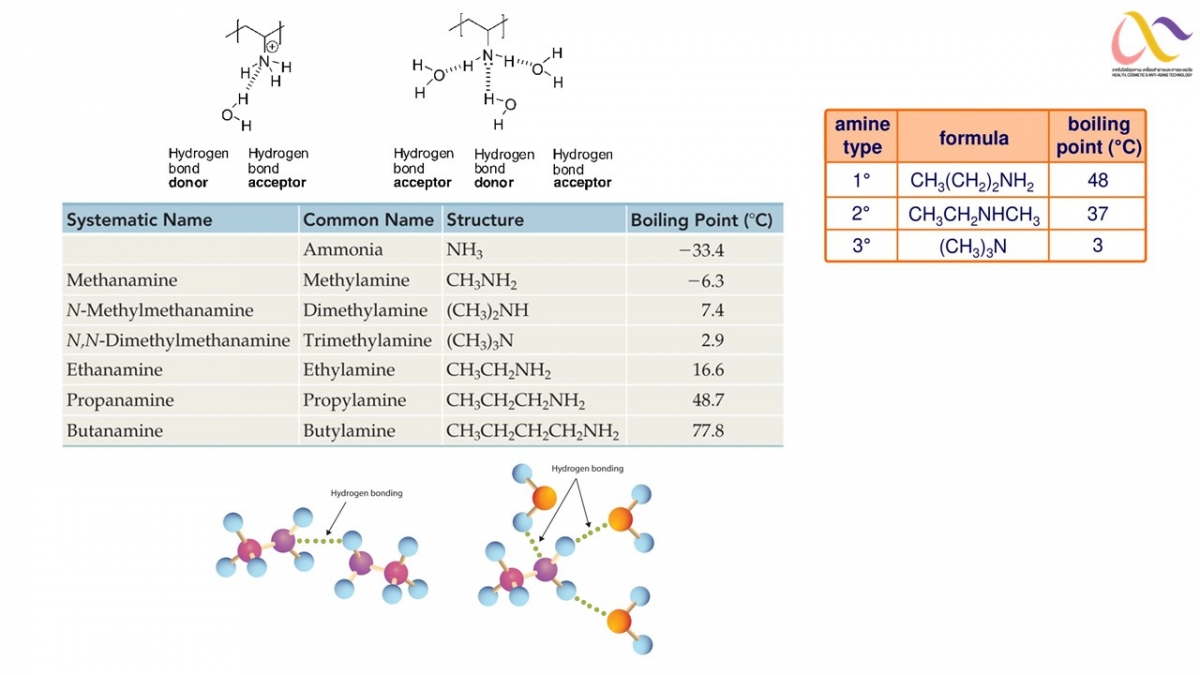 Amine-7