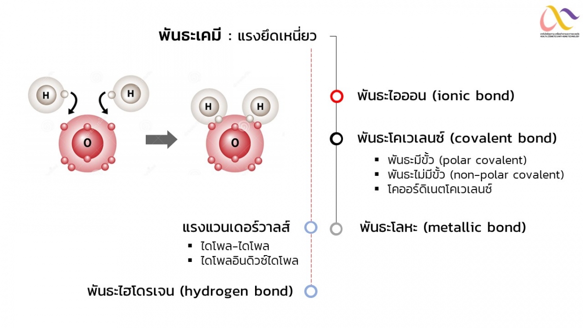 Basic-Chem-25