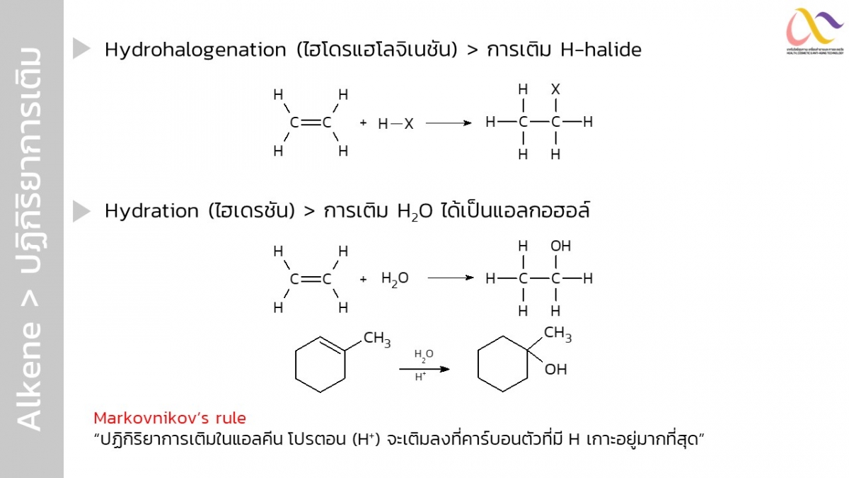 OrgReaction-33