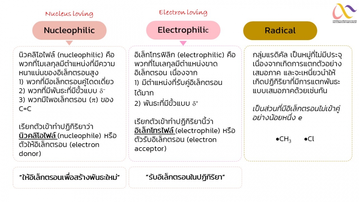 OrgReaction-6