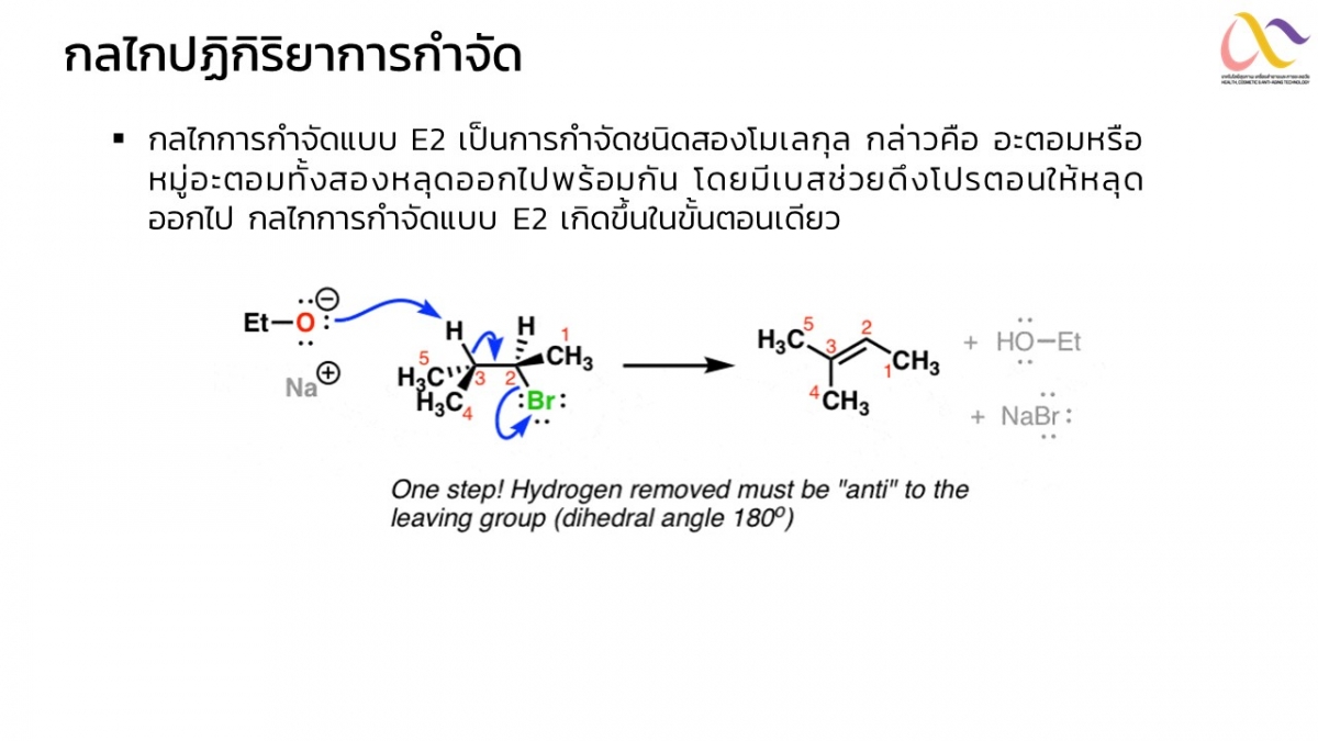 Organic-Mechanism-10