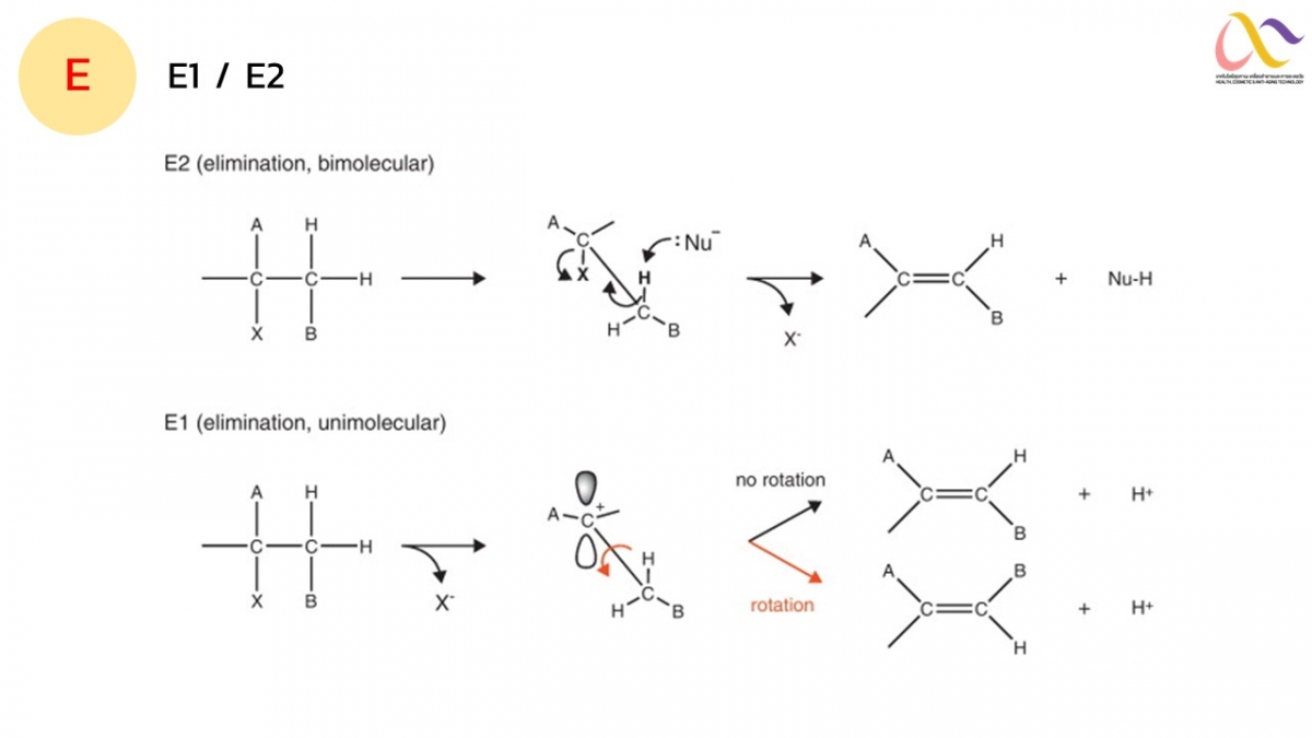 Organic-Mechanism-11