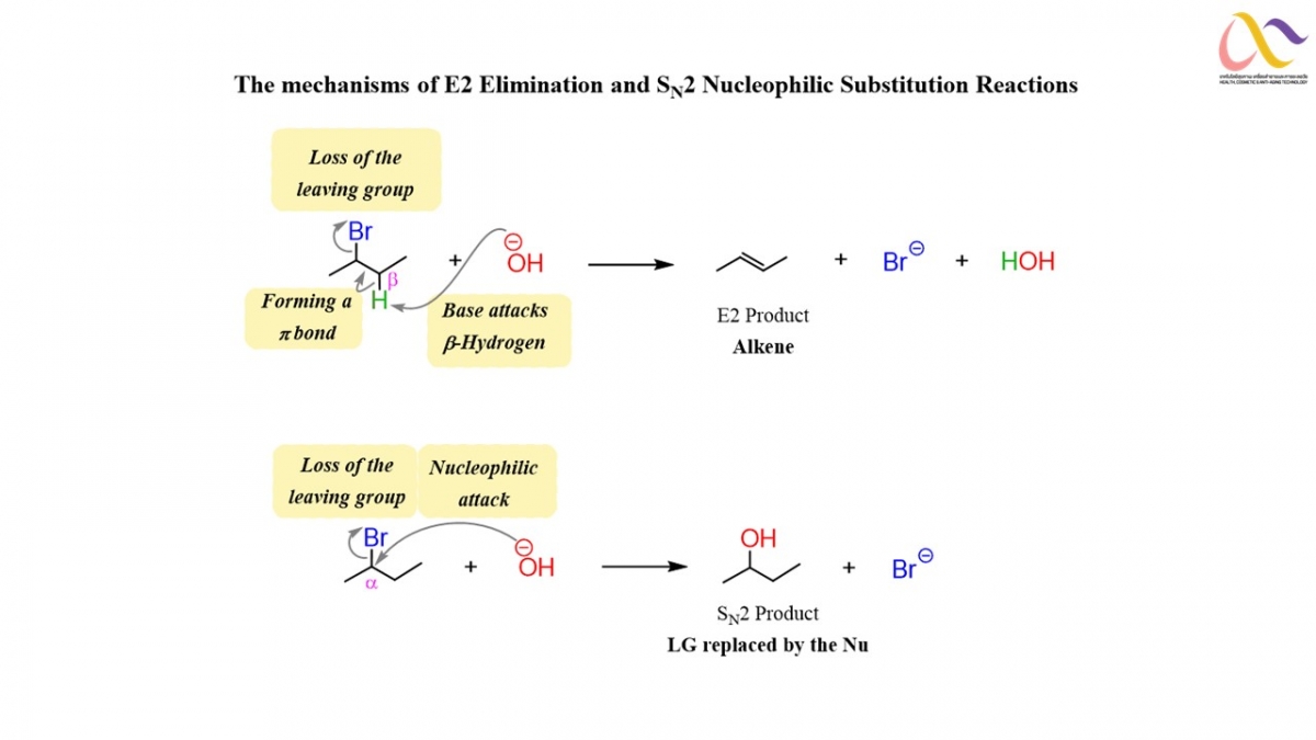 Organic-Mechanism-12