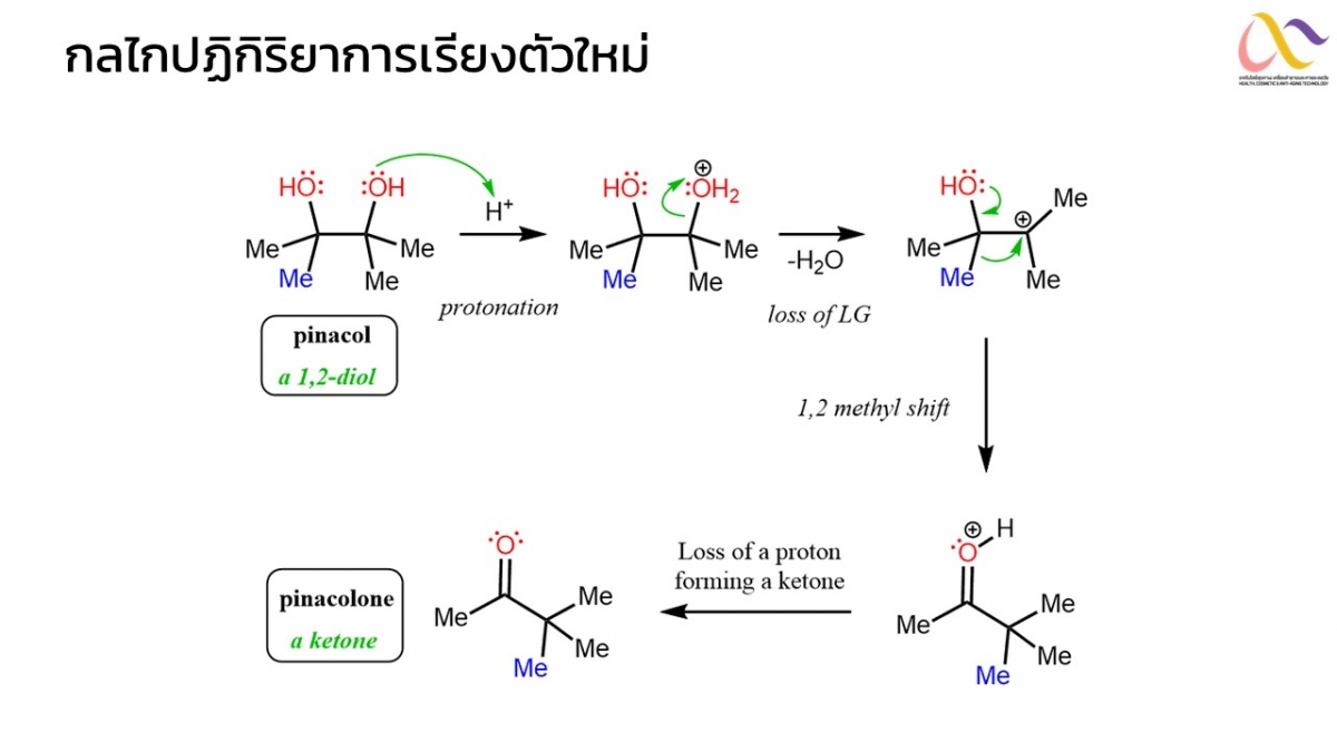 Organic-Mechanism-13