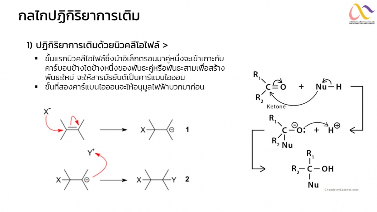 Organic-Mechanism-7