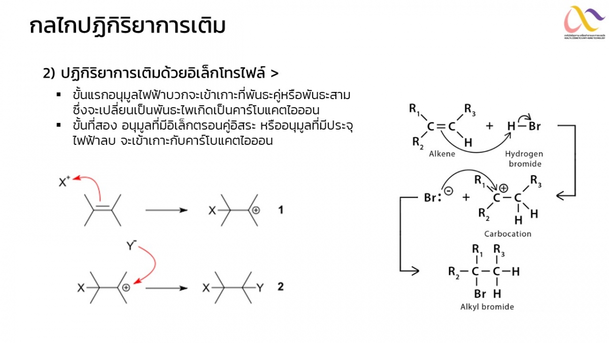 Organic-Mechanism-8