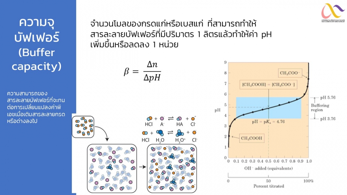 Salt-29